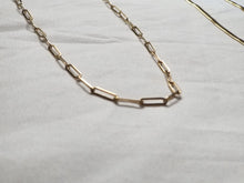 Load image into Gallery viewer, The Carrier Necklace
